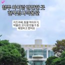 한국잠사박물관 | 청주 아이와 가볼만한곳 한국잠사플레이팜 한국잠사박물관 체험 아기 무료 후기