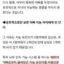 내가 똑똑한건 엄마지능덕분에, 외모,성격,기질은 애비로부터 유전받음 이미지