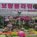 믿음플라워