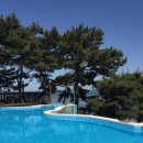 위드펜션 이미지