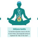 반다요가 이미지