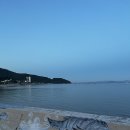 정남진장흥토요시장상인회 | 제18회 정남진 장흥물축제 다녀왔어요! 가족여행 + 맛집까지 알차게 즐긴 후기