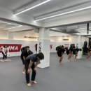 하바스MMA 압구정 이미지