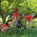 문정 어린이집 이미지