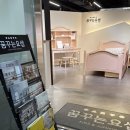 요셉의집 | 새학기 아이 선물~꿈꾸는 요셉 방문(+벙커침대,실제후기)