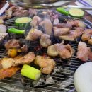 만나명품돼지 이미지