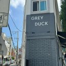 그레이덕(grey duck)