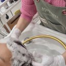 (릴렉스) 뷰티 마사지 이미지