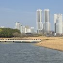 태화강 - 중구 | 태화강