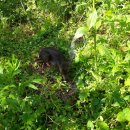 조아농장 이미지