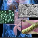 김관호한의원 이미지