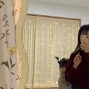 제주 두모스테이 이미지