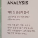 올곧은바른자세 이미지