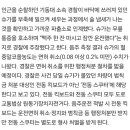 슈가는 무릎 통증을 호소하며 “맥주 한 잔 마시고 잠깐 운전했다”는 취지로 경찰에 주장했다고 한다. 이미지