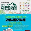 괴산군 드림패스 아카데미 이미지