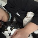 텐퍼센트커피 풍암근린공원점 | 오동숲속도서관에 간 어느 4월의 주말