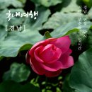 연꽃단지 화장실 이미지