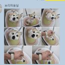 냥이를 사랑하는 멍멍이 이미지