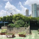 정원청과
