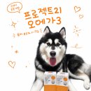 21세기 동물병원 | 강아지 오메가3 프로젝트21 윤홍준 수의사 공동개발 솔직후기