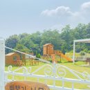 나무그림펜션 이미지