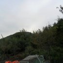 진전면938 이미지