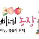 땡삐농장 네이버블로그