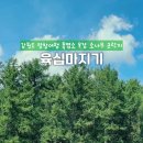 소나무 흑염소 목장 이미지