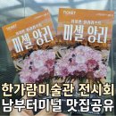 예술의전당 한가람미술관 미셸앙리 전시, 남부터미널 가성비 맛집 서초아구해물찜탕 후기