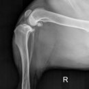 마음동물병원 이미지