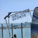 고니스커피 | 부산 뚜벅이 여행지 혼자여행 3박4일 게스트하우스 해운대시장