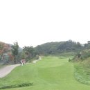 벙커구장 Daum카페