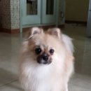 놀자 이미지