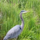 풍어민박 | 연화도 연화사 가는 길 | 실제 방문 후기와 사진으로 보는 절경