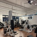 드라코짐 이미지