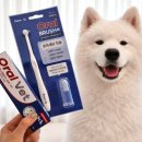 땡큐동물병원 | 강아지 입냄새 치약 추천 기호성 좋은 페노비스 오랄벳 치약 사용 후기