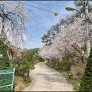 개나리펜션 이미지