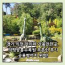 공룡빵 | 경기 이천 아이와 가볼만한곳, 덕평공룡수목원 오픈런 후기 공룡빵까지 완벽!