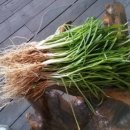 교래생태체험장 이미지