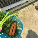 송포목장 이미지