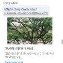 그린빌딩 | [wedding6.]📸 그린아일스튜디오| 리허설웨딩촬영 후기