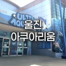 울진아쿠아리움 구산해수욕장 아이와 가족 여행 코스 후기