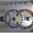 나비생태공원 이미지