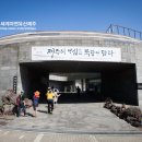 묵향 담은 서예 이미지