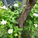 추곡농장 이미지