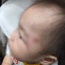 안전만들기 | 아누리매트 내돈내산 시공 후기 아기 안전 공간 만들기