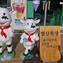 횡성목장 이미지