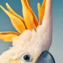 해성상사 이미지