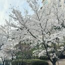 상남농장 네이버블로그