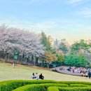 가톨릭대학교 성심교정 이미지